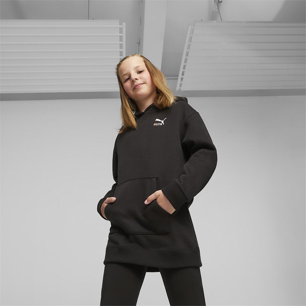 Толстовка Puma Classics Sweater Wthr Hoodie Fl G (62161301) - фото