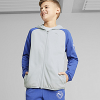 Толстовка Puma Active Sports Full-Zip Hoodie Tr B Plati (67320672)