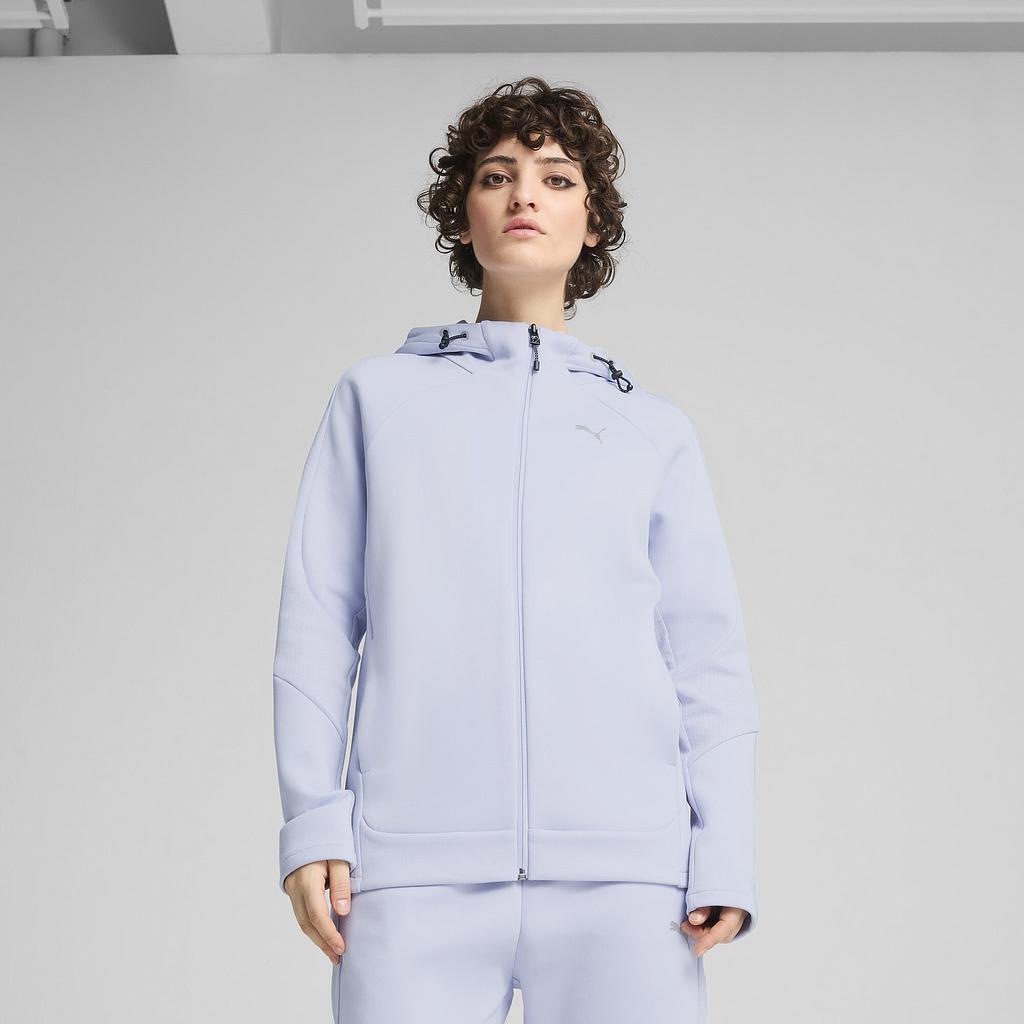 Толстовка Puma Evostripe Full-Zip Hoodie Dk (68505047) - фото