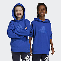 Толстовка ADIDAS Future Icons Logo (HR6303)
