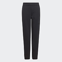 Штани ADIDAS Z.N.E. (IB3990)