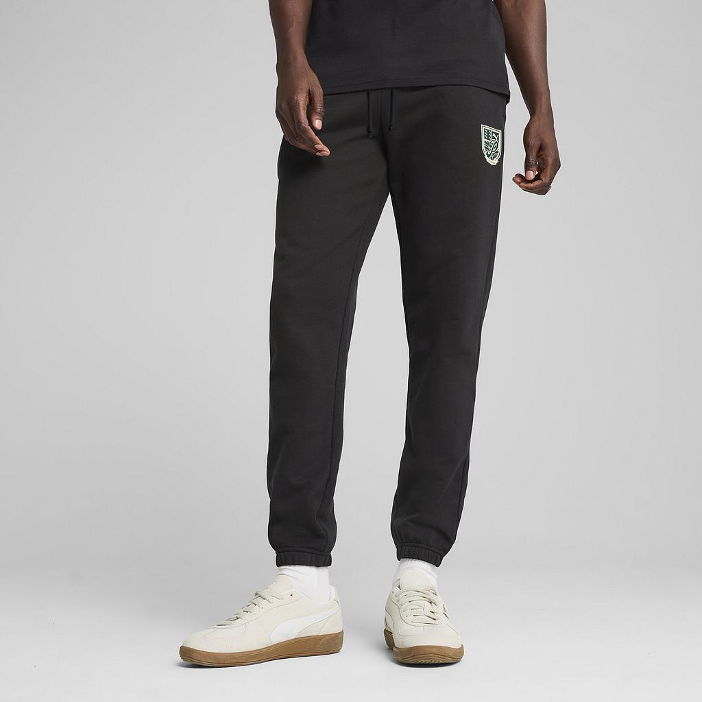 Штани Puma Wardrobe Ess Sports Legacy Graphic (62963101) - фото