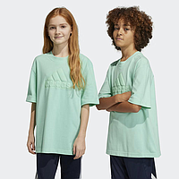 Футболка Adidas U Fi Logo T (IC9532)