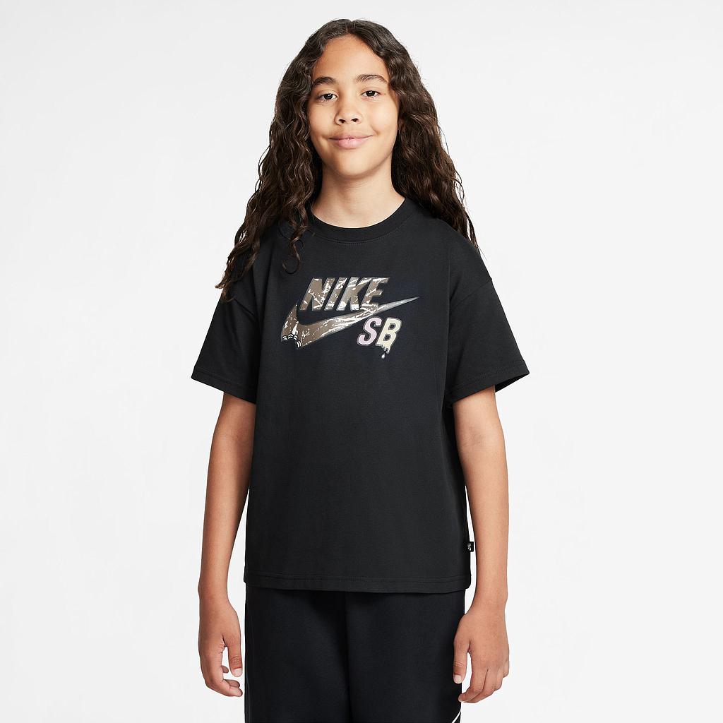 Футболка Nike SB (HM5841010) - фото