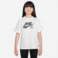 Футболка Nike SB (HM5841100)