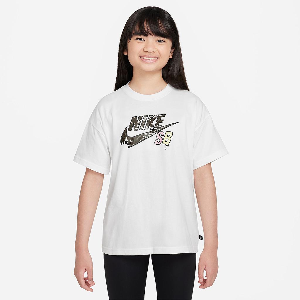 Футболка Nike SB (HM5841100) - фото