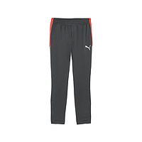 Штани Puma Individualliga Training Pants (65951710)