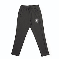 Штани Puma Active Sports Graphic Pants Tr B (52768901)