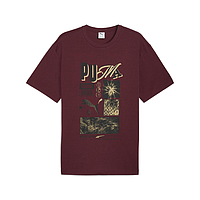 Футболка Puma Graphic Sportswear (63211696)