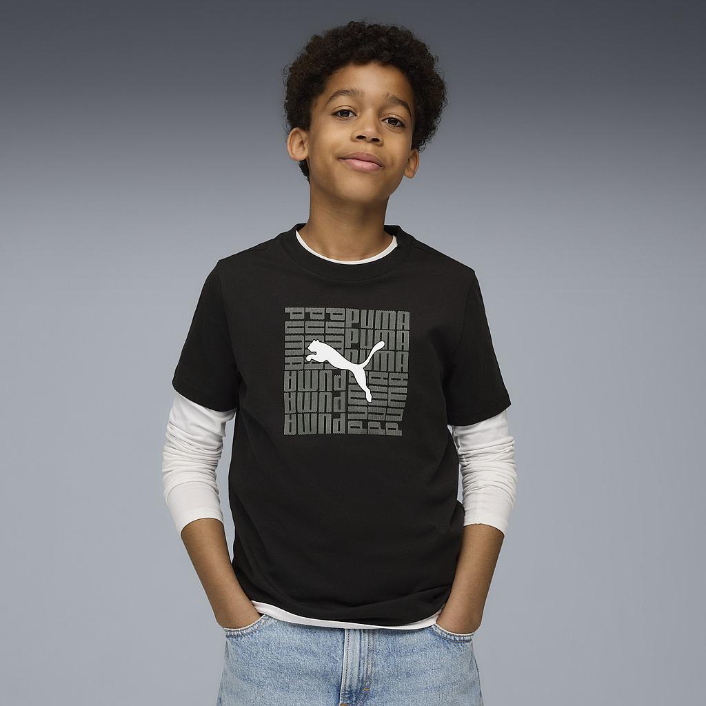 Футболка Puma Graphic Box (68993701) - фото