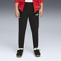 Штани Puma Sport Fleece (68917501)