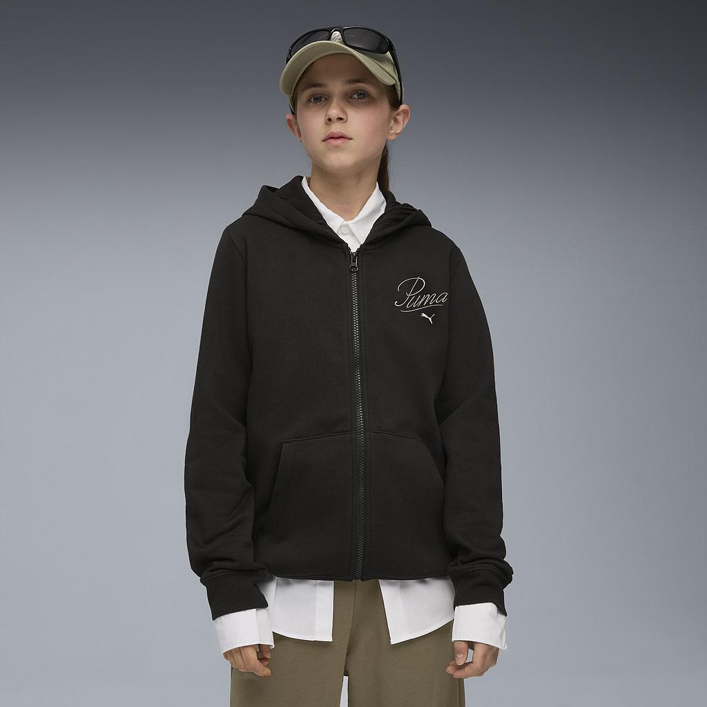 Толстовка Puma Essentials Script Full-Zip Fleece (68925301) - фото