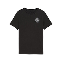 Футболка Puma Active Sports Small Graphic (52768601)