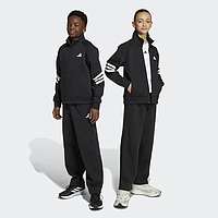Костюм Adidas Future Icons 3-Stripes (JM1267)