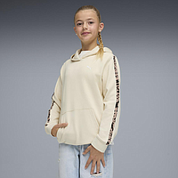 Толстовка Puma Ess Graphic Animal (69246887)