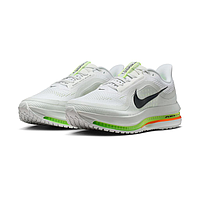 Кросівки Nike Pegasus Premium (HQ2592105)