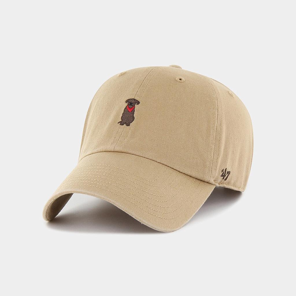 Кепка 47 Dog Base Runner Icon (BSRIC1411GWSKH) - фото