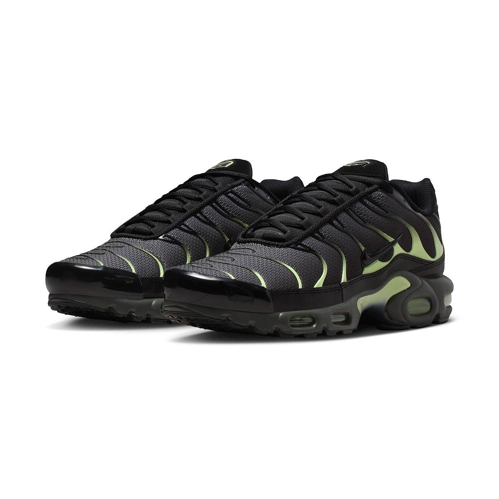 Кросівки Nike Air Max Plus (DM0032035) - фото