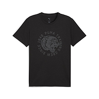 Футболка Puma Illustrated Graphic (52804501)