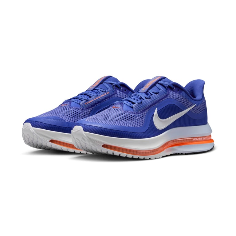 Кросівки Nike Pegasus Premium (HQ2592400) - фото