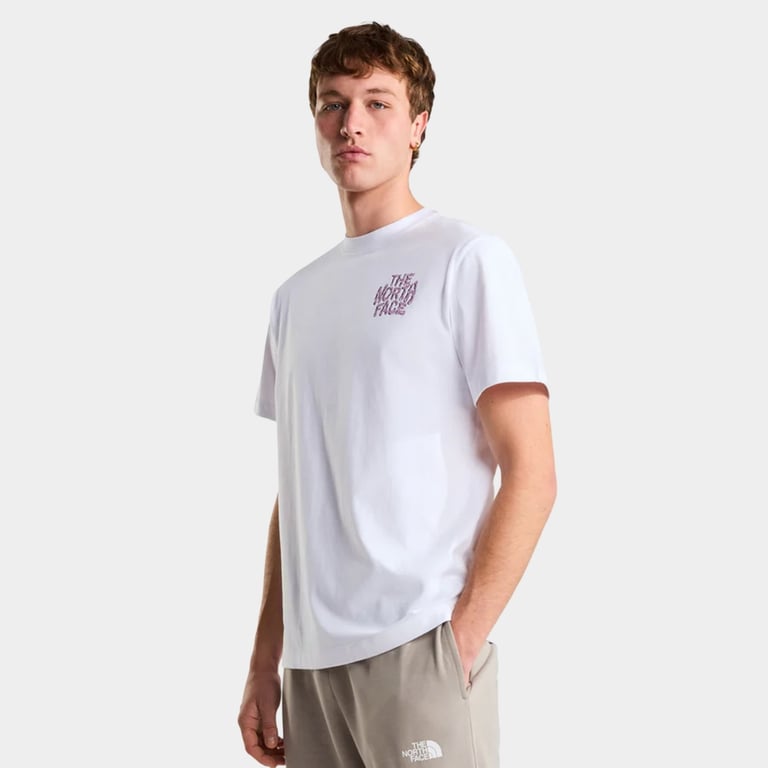 Футболка The North Face Drip Logo (NF0A8GABFN4) - фото