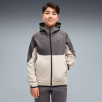Толстовка Puma Pumatech Elevated Full-Zip (69473382)