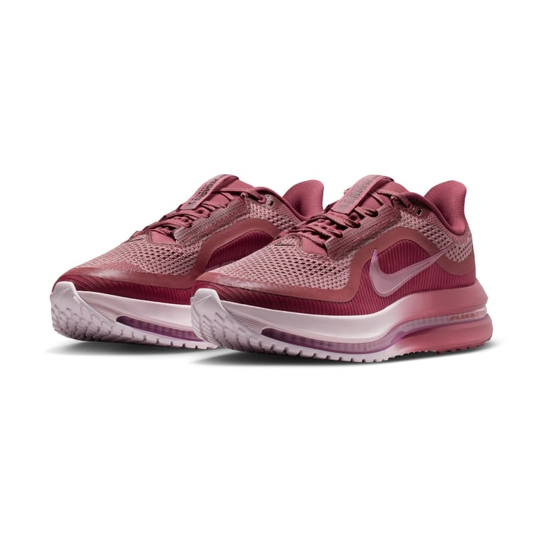 Кросівки Nike Pegasus Premium (HQ2593607) - фото