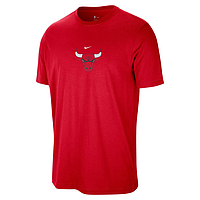 Футболка Nike Chicago Bulls (IO6287657)