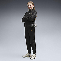 Костюм Puma Ess Tape Full-Zip Fleece (69542001)
